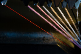 Feel Blue e Fairly Made: una partnership strategica per la trasparenza, la tracciabilità e la sostenibilità 